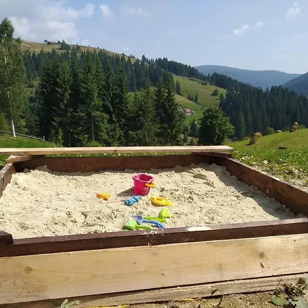 пагорб їжака / Hedgehog Hill