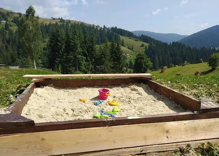 пагорб їжака / Hedgehog Hill