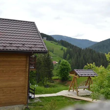 пагорб їжака / Hedgehog Hill * Yablunytsia
