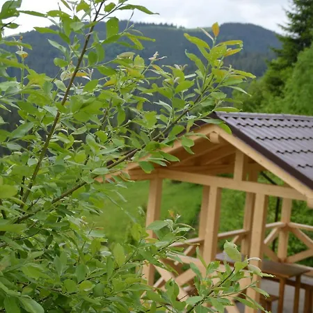 пагорб їжака / Hedgehog Hill